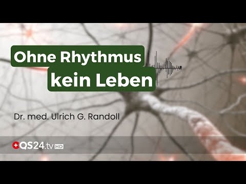 Ohne Rhythmus kein Leben: Was Ihre Zellen wirklich brauchen | Naturmedizin | QS24