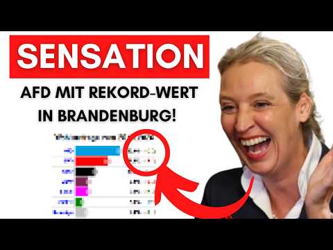 Rekordwert für AfD + 1.800€ Strafe für ein Like + Misstrauensvotum gegen von der Leyen