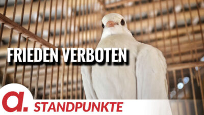 Mehr über den Artikel erfahren Frieden verboten | Von Sabiene Jahn