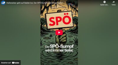 Mehr über den Artikel erfahren Der SPÖ-Sumpf wird immer tiefer!