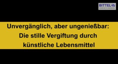 Mehr über den Artikel erfahren Mc Donalds – 🍔 Unvergänglich = ungenießbar?