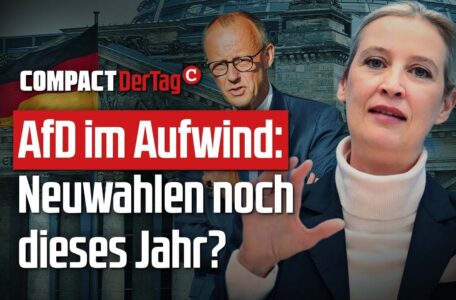 AfD im Aufwind: Neuwahlen noch dieses Jahr?💥