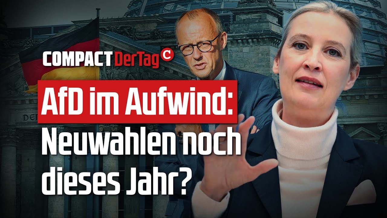 AfD im Aufwind: Neuwahlen noch dieses Jahr?💥