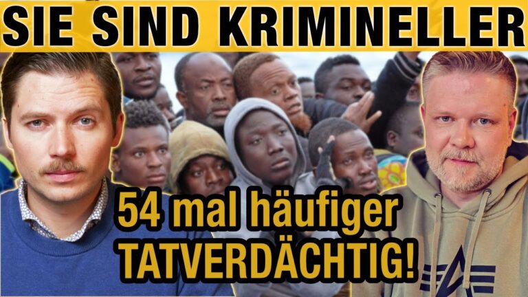 Mehr über den Artikel erfahren Ausländer 54 mal krimineller als Deutsche! AfD-Anfrage zeigt die ganze Wahrheit