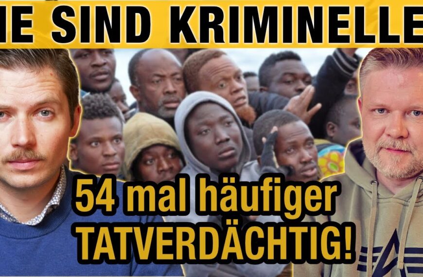 Ausländer 54 mal krimineller als Deutsche! AfD-Anfrage zeigt die ganze Wahrheit