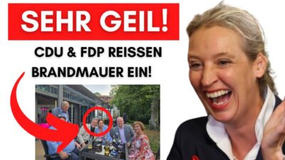 Mehr über den Artikel erfahren CDU & FDP nehmen am AfD-Sommerfest teil – SPD rastet komplett aus!