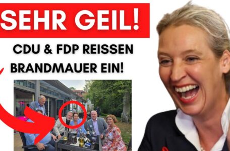 CDU & FDP nehmen am AfD-Sommerfest teil – SPD rastet komplett aus!