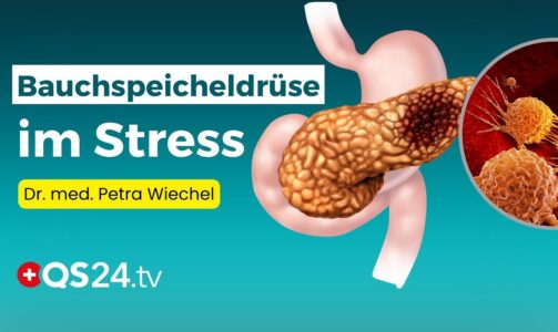 Chronische Pankreatitis – Ein Rat aus ganzheitlicher Sicht | Dr . med. Petra Wiechel | Visite | QS24