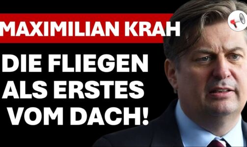 Dr. Maximilian Krah: AfD-Verbot, Verfassungsrichterinnen, Fritze Merz und der Zustand der Republik