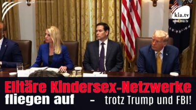 Mehr über den Artikel erfahren Elitäre Kindersex-Netzwerke fliegen auf – trotz Trump und FBI
