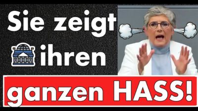 Mehr über den Artikel erfahren Eskalation von Britta Haßelmann! Rechte NIUS-Medien sind schuld! ‚Unsere‘ Demokratie vs. Demokratie