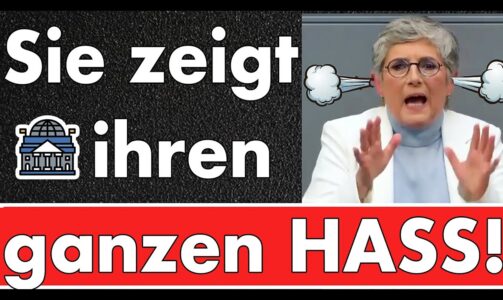 Eskalation von Britta Haßelmann! Rechte NIUS-Medien sind schuld! ‚Unsere‘ Demokratie vs. Demokratie