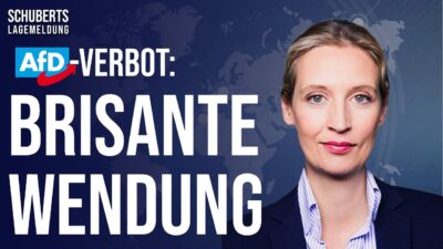 Mehr über den Artikel erfahren 💥“Spiegel“entsetzt💥Deal mit der AfD + Verfassungsschutz vollkommen bloßgestellt + Wichtige AfD-Siege