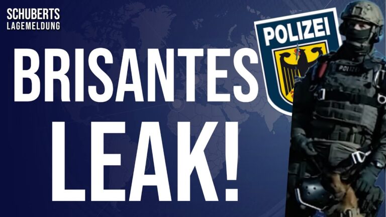 Mehr über den Artikel erfahren 🧨Unfassbare Polizei-Analyse für den Kriegsfall + 🇩🇪 2025: Bürgerwehr statt Polizeischutz!