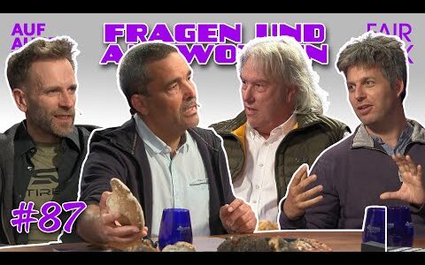 FRAGEN UND ANTWORTEN zu WALDGEFLÜSTER – WAS DER WALD ÜBER DAS LEBEN LEHRT