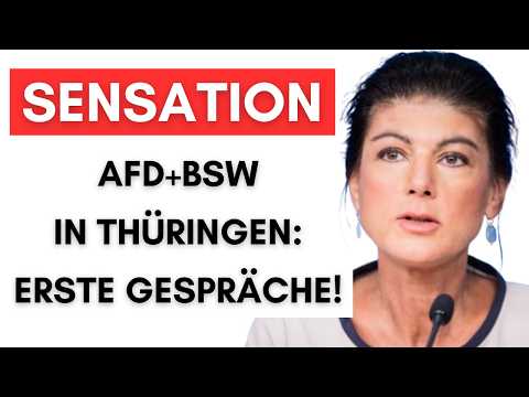 Chrupalla bestätigt:  AfD & BWS loten Kooperation aus – SPD stink-sauer!