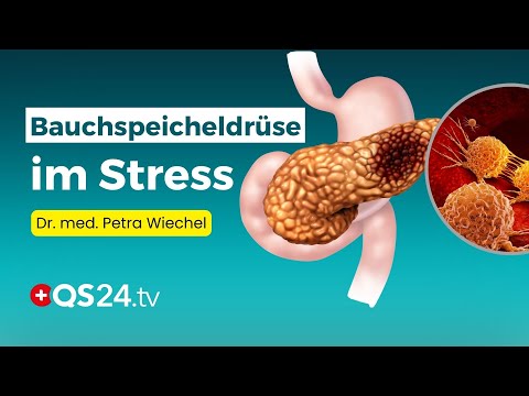 Chronische Pankreatitis – Ein Rat aus ganzheitlicher Sicht | Dr . med. Petra Wiechel | Visite | QS24