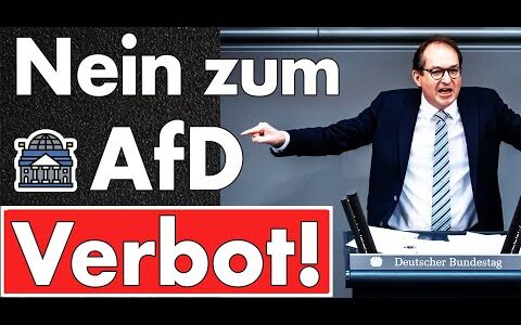 Kein AfD-Verbot möglich! SPD wird am Verfassungsschutz scheitern – ohne Beweise kein Verbotsantrag!