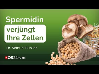 Mehr über den Artikel erfahren Ihr Körper kann sich selbst verjüngen – Spermidin zeigt wie! | Naturmedizin | QS24