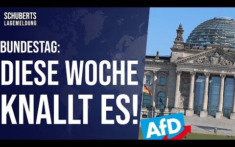 Polit-Beben💥 AfD wird gesamten Bundestag vorführen + Wagenknecht über AfD… + Entsetzen über Länder