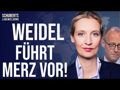 Mehr über den Artikel erfahren Umstrittene Pläne💥Was sagt der AfD-Wähler dazu? +Merz-CDU durch AfD-Strategie unter Druck +AfD klagt