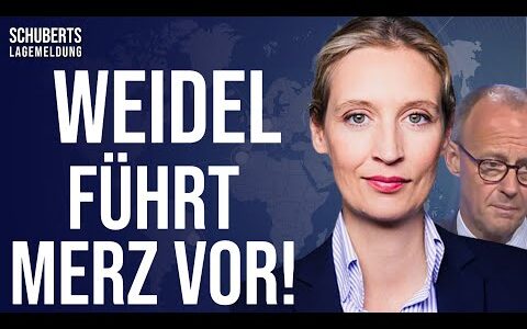 Umstrittene Pläne💥Was sagt der AfD-Wähler dazu? +Merz-CDU durch AfD-Strategie unter Druck +AfD klagt