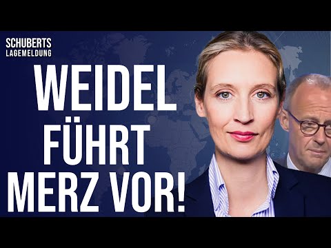 Umstrittene Pläne💥Was sagt der AfD-Wähler dazu? +Merz-CDU durch AfD-Strategie unter Druck +AfD klagt