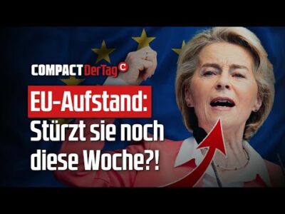 Mehr über den Artikel erfahren EU-Aufstand: Stürzt sie noch diese Woche?!💥