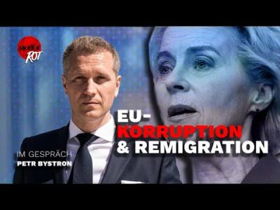 Mehr über den Artikel erfahren Klare Sicht: Petr Bystron MEP – Remigration, Misstrauensvotum & Korruption in der EU