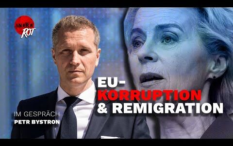 Klare Sicht: Petr Bystron MEP – Remigration, Misstrauensvotum & Korruption in der EU