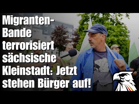 Migranten-Bande terrorisiert sächsische Kleinstadt: Jetzt stehen Bürger auf!