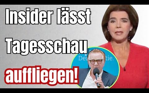HEFTIG! Ex-ARD Hauptstadt-Journalist PACKT VERSTÖRENDE INSIDER AUS!