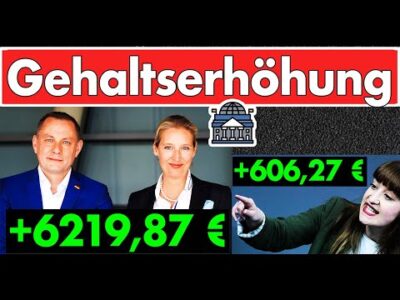 Mehr über den Artikel erfahren Skandal: Weidel & Chrupalla nehmen 6219,87 € mehr Zulagen! Diätenerhöhung ist ein Witz dagegen!