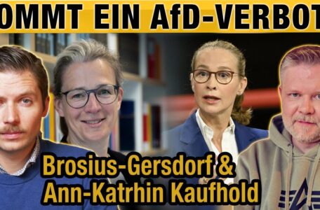 Kommt jetzt das AfD-Verbot? Brosius-Gersdorf & Kaufhold – Zwei Linksaktivisten kommen | DMR