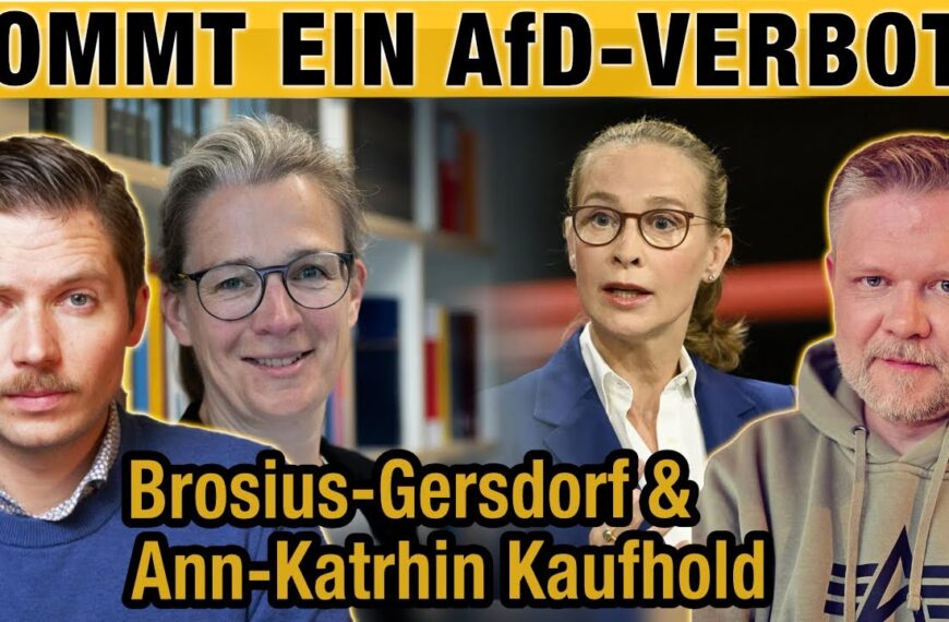 Kommt jetzt das AfD-Verbot? Brosius-Gersdorf & Kaufhold – Zwei Linksaktivisten kommen | DMR