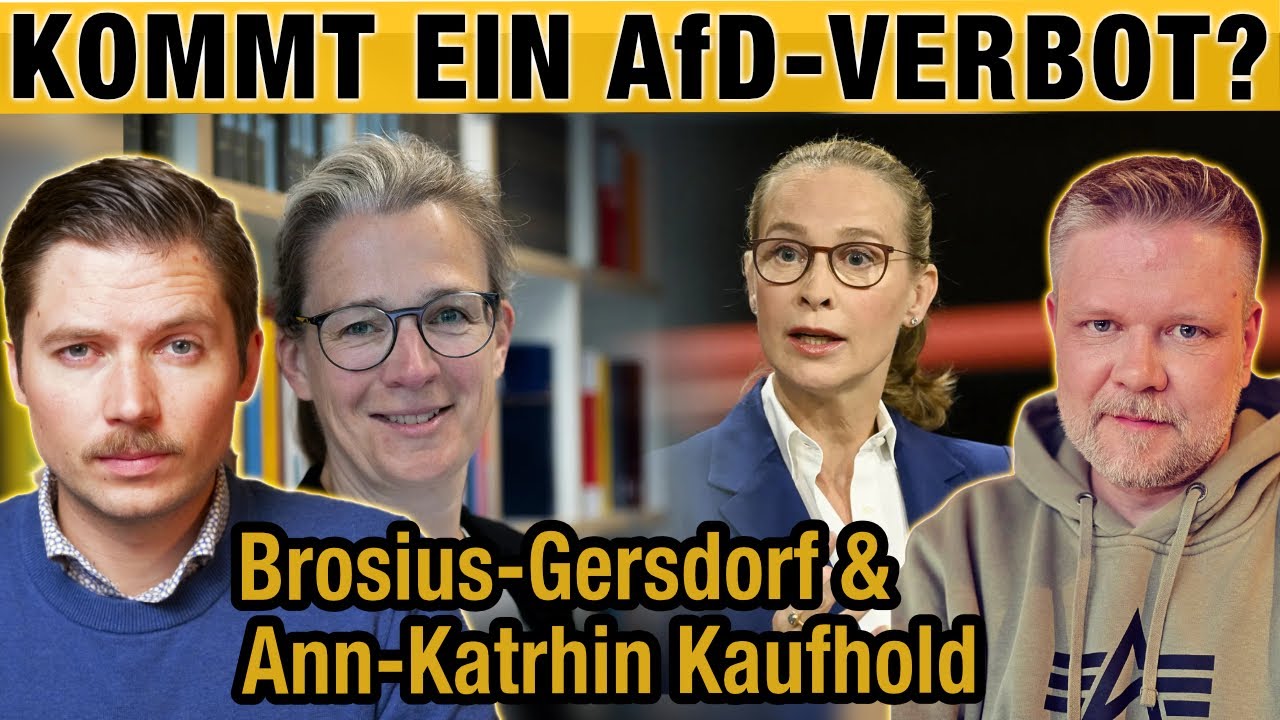 Kommt jetzt das AfD-Verbot? Brosius-Gersdorf & Kaufhold – Zwei Linksaktivisten kommen | DMR