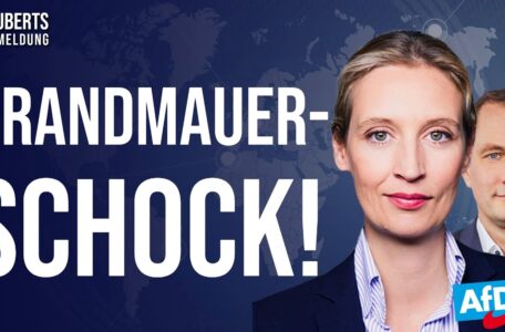 Polit-Beben💥1.AfD/CDU-Regierung wird vorbereitet + Berufsverbot für AfD-Mitgl. + Angriff auf YouTube