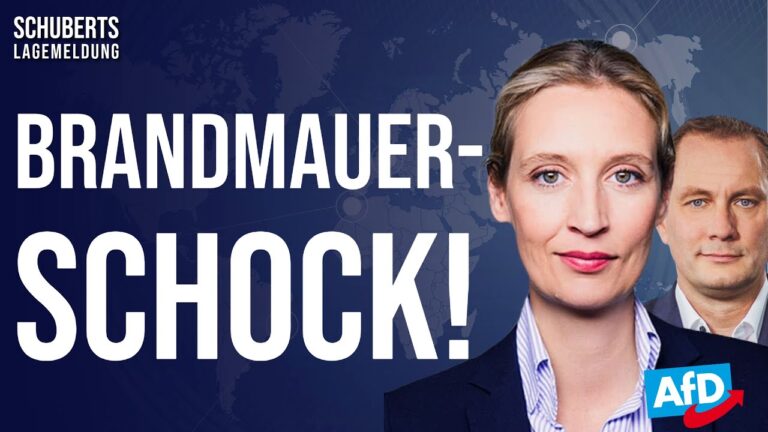 Mehr über den Artikel erfahren Polit-Beben💥1.AfD/CDU-Regierung wird vorbereitet + Berufsverbot für AfD-Mitgl. + Angriff auf YouTube