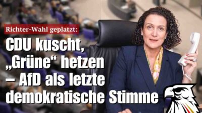 Mehr über den Artikel erfahren Richter-Wahl geplatzt: CDU kuscht, „Grüne“ hetzen – AfD als letzte demokratische Stimme