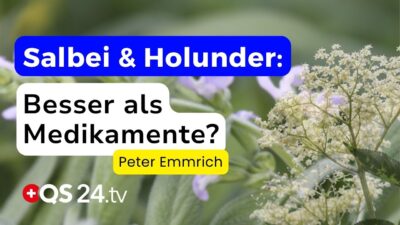 Mehr über den Artikel erfahren Salbei & Holunder – Die unterschätzten Naturwunder bei Infekten, Viren & mehr | Naturmedizin | QS24