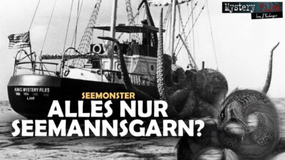 Mehr über den Artikel erfahren Seemannsgarn und eine Seeschlangen-Familie | Seltsame Sichtungen im Atlantik