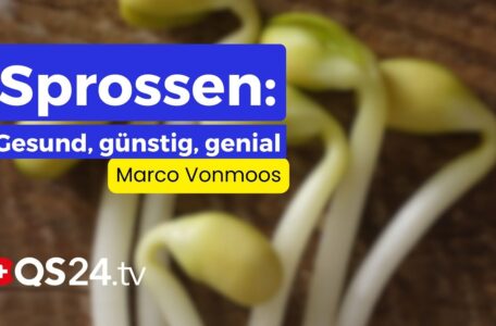 Warum jeder Sprossen in sein Leben integrieren sollte | Erfahrungsmedizin | QS24
