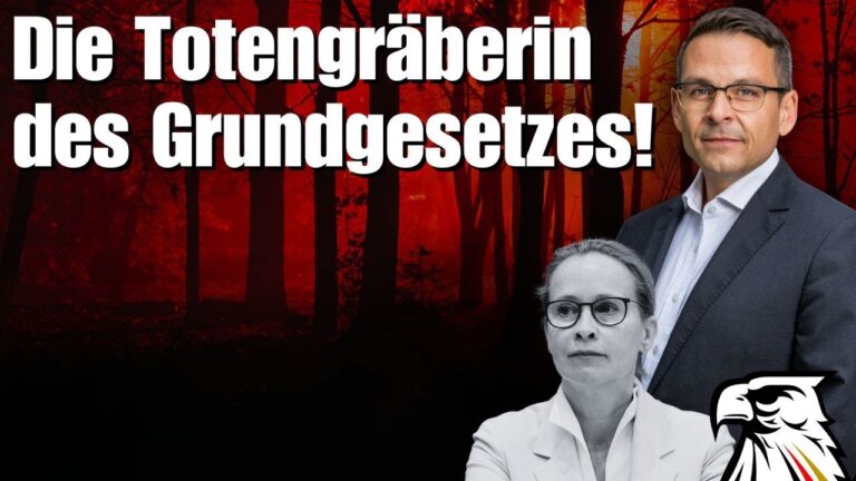 Mehr über den Artikel erfahren Was uns mit Frauke Brosius-Gersdorf als Verfassungsrichterin droht!