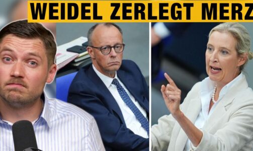 Weidel „beleidigt“ MERZ und neue Queerbeauftragte