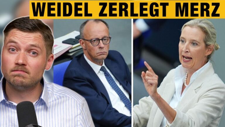 Mehr über den Artikel erfahren Weidel „beleidigt“ MERZ und neue Queerbeauftragte
