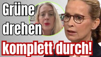 Mehr über den Artikel erfahren WIE BITTE?! Grüne verlieren komplett die Nerven!