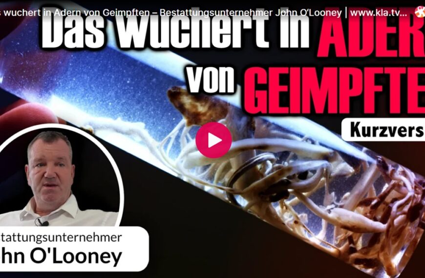 😱 Das wuchert in Adern von Geimpften – Bestattungsunternehmer John O‘Looney