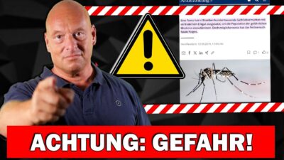 Mehr über den Artikel erfahren ACHTUNG: Mücken-Virus absichtlich hergestellt?! Bald Wolken-Impfung?!