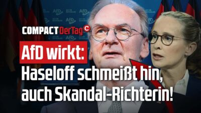 Mehr über den Artikel erfahren AfD wirkt: Haseloff schmeißt hin  – und auch Brosius-Gersdorf!💥