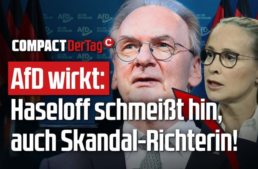 AfD wirkt: Haseloff schmeißt hin – und auch Brosius-Gersdorf!💥